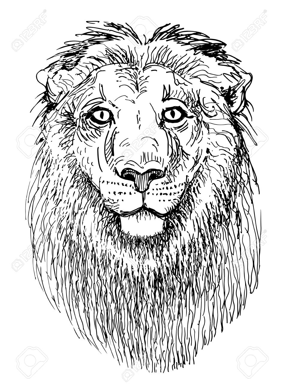 芸術家のライオン頭部動物の黒と白の図面をスケッチします のイラスト素材 ベクタ Image 芸術家のライオン頭部動物の黒と白の図面をスケッチします のイラスト素材 ベクタ Image
