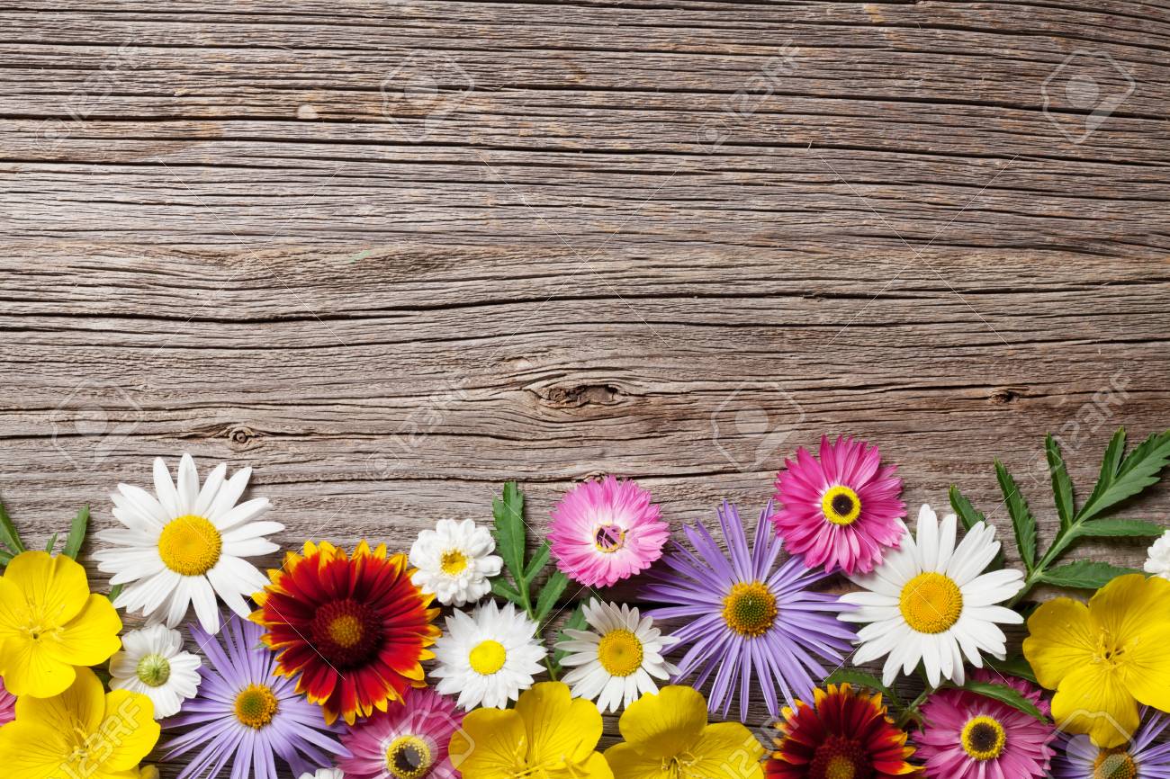 Garden flowers on wooden background. Top view with copy space