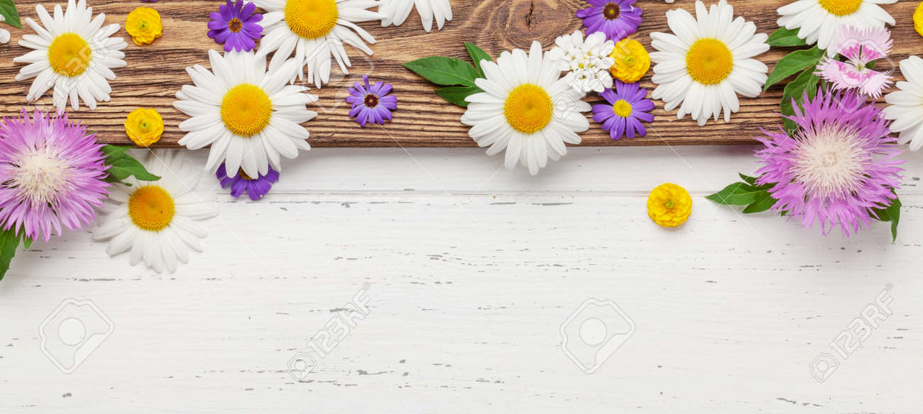 Various colorful garden flowers over wooden background. Greeting card template. Top view flat lay with copy space - 169549654 Various colorful garden flowers over wooden background. Greeting card template. Top view flat lay with copy space - 169549654