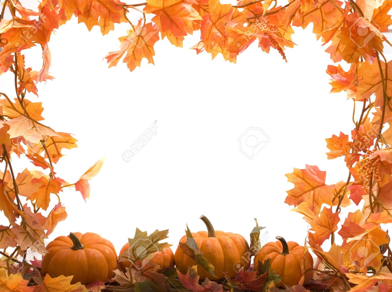 Pumpkins On White Background With Fall Leaves Frame Stock Photo, Picture  and Royalty Free Image. Image 555154.