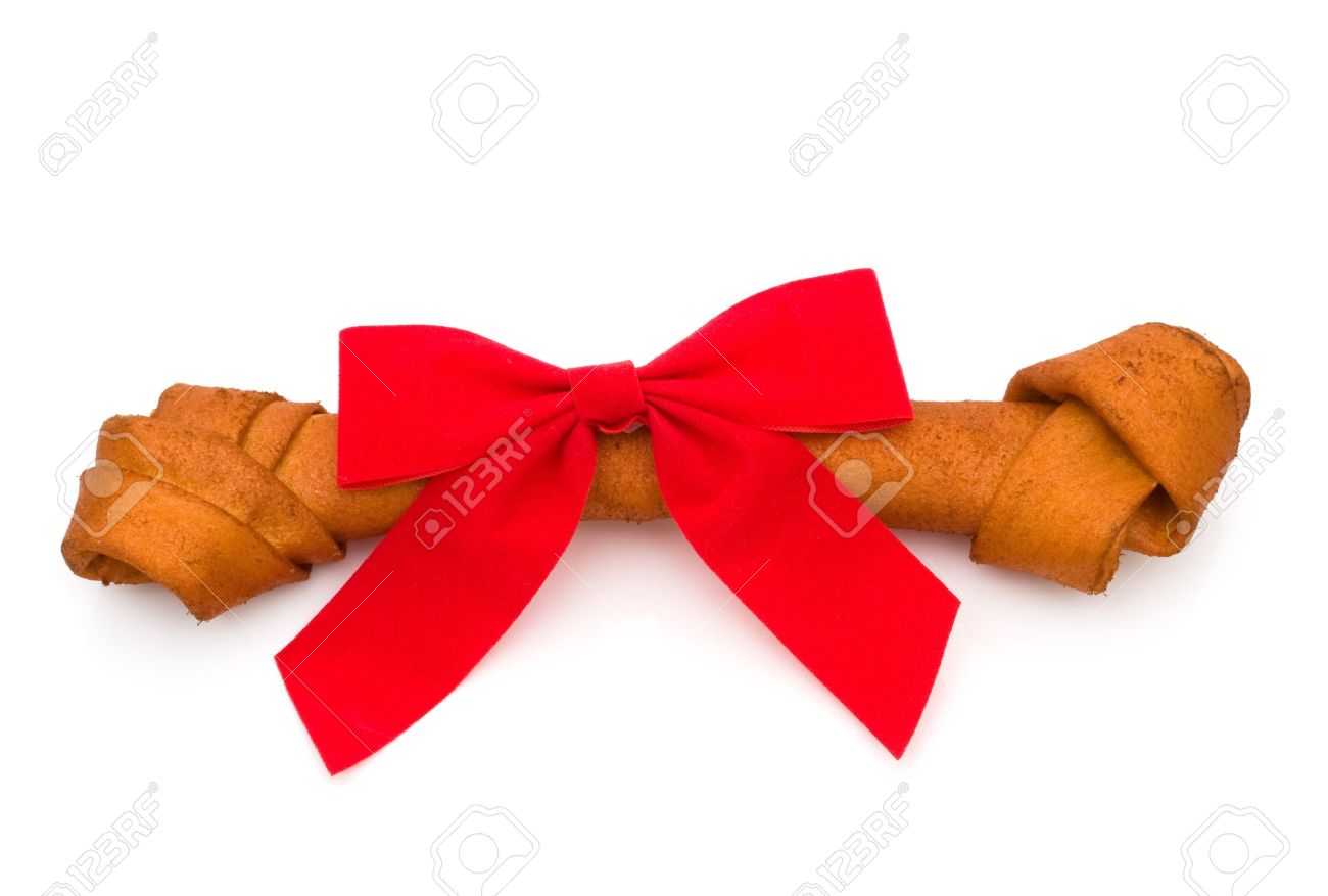 dog door with microchip sensor