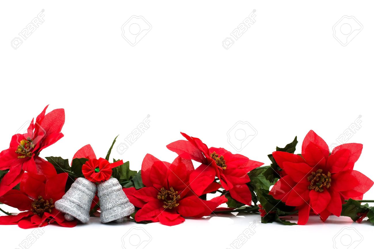 poinsettia border on a white background with silver bells christmas poinsettia border