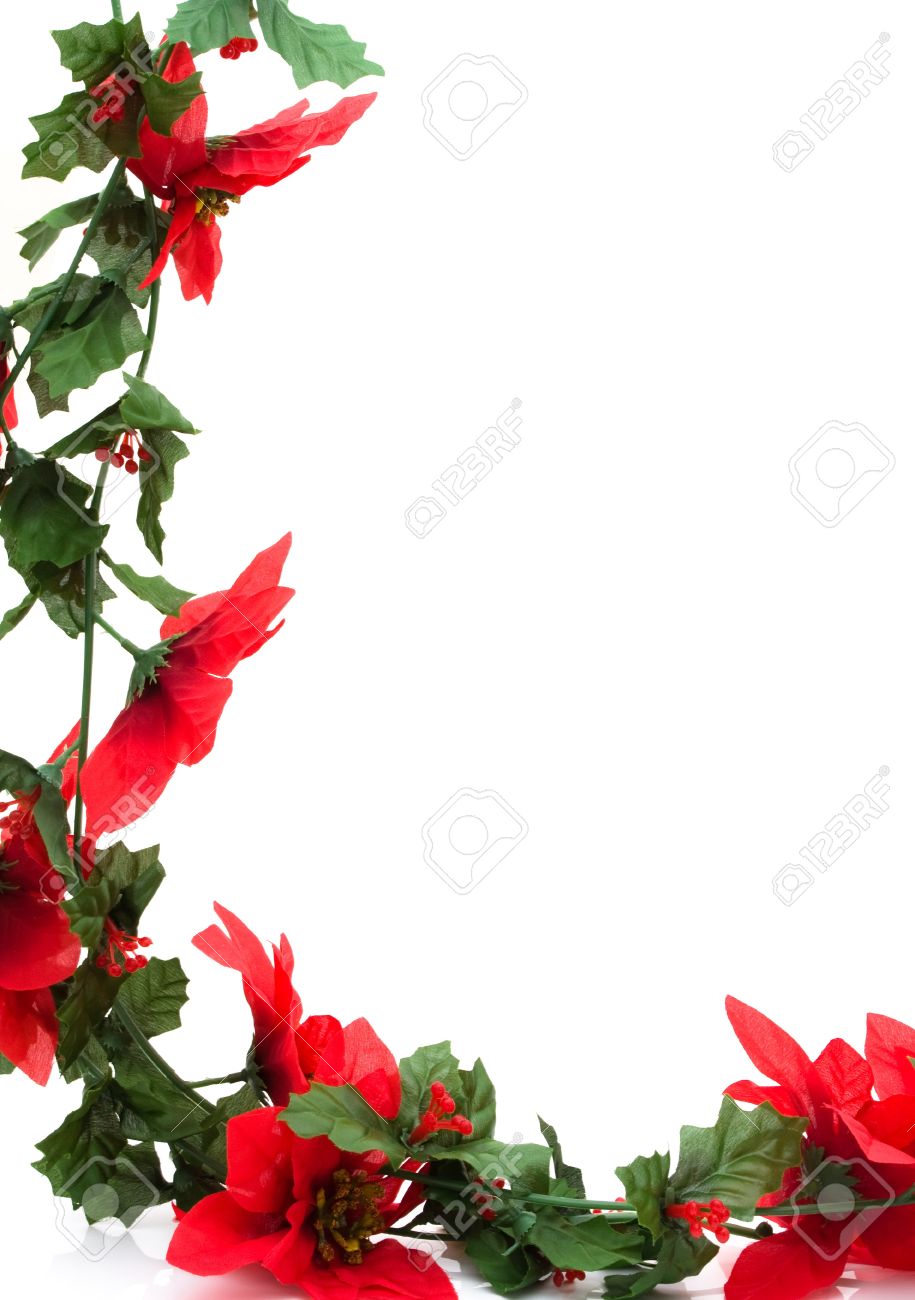 poinsettia flowers making a border with white background christmas border stock photo 8366466