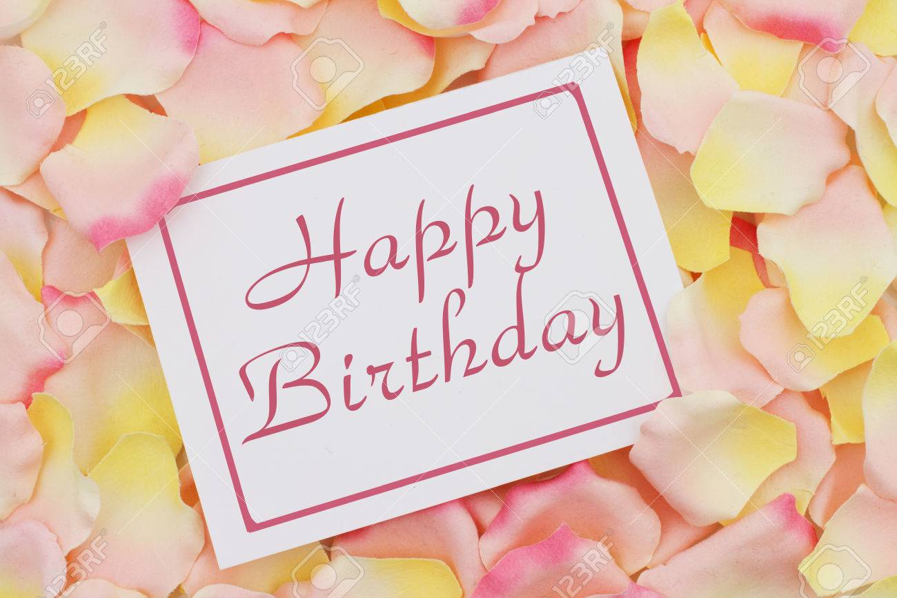 ピンクと黄色のバラのペダルの背景 テキストお誕生日おめでとうと白いカード誕生日カード の写真素材 画像素材 Image