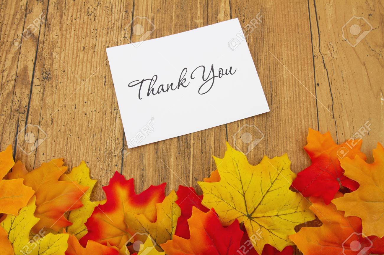 고맙습니다 카드와 함께 풍화 그런 지 나무에 감사합니다, 단풍 로열티 무료 사진, 그림, 이미지 그리고 스톡포토그래피. Image  48957361