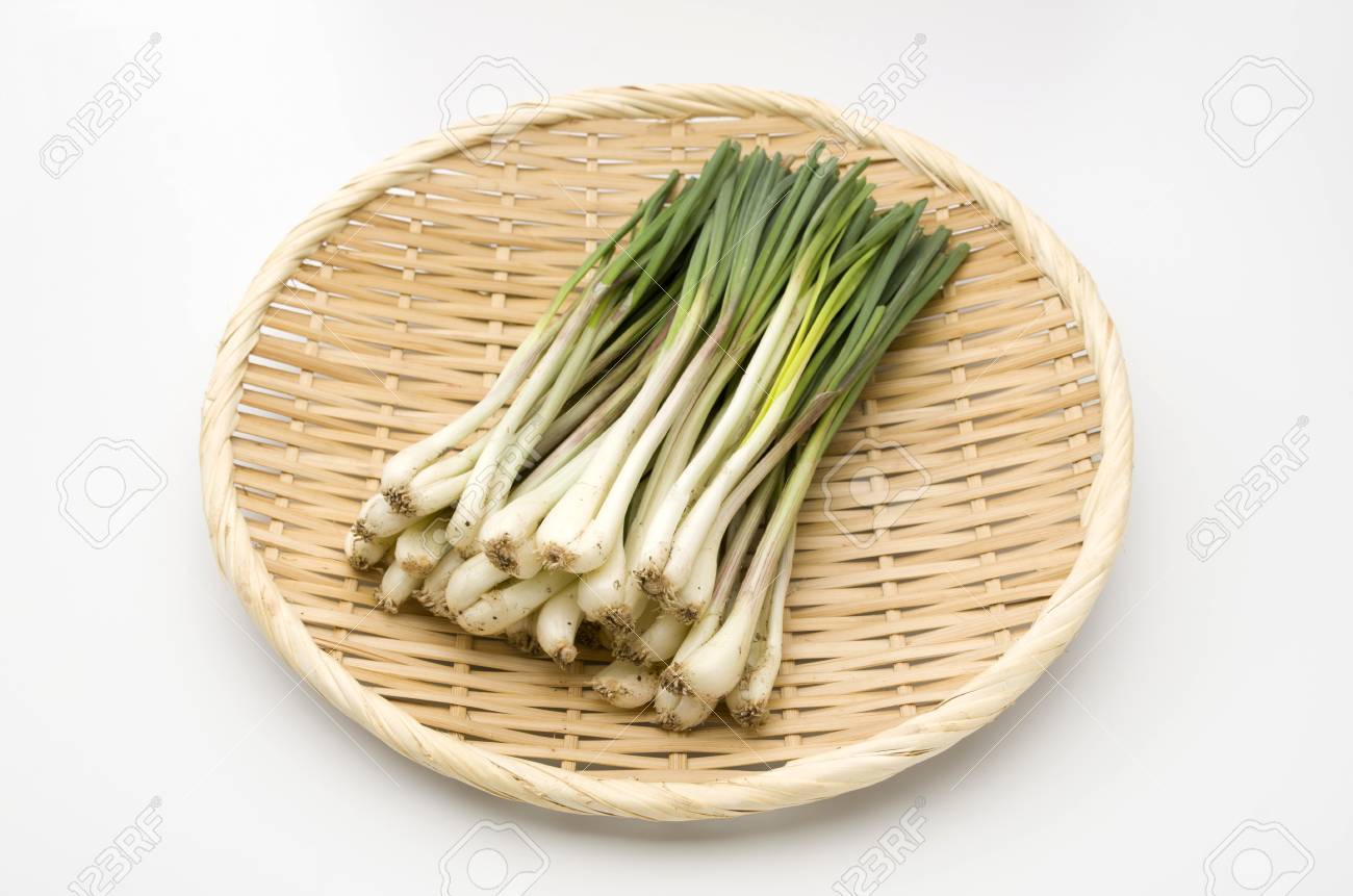 エシャロット ラッキョウ島 島ラッキョウ の写真素材 画像素材 Image エシャロット ラッキョウ島 島ラッキョウ の写真素材 画像素材 Image