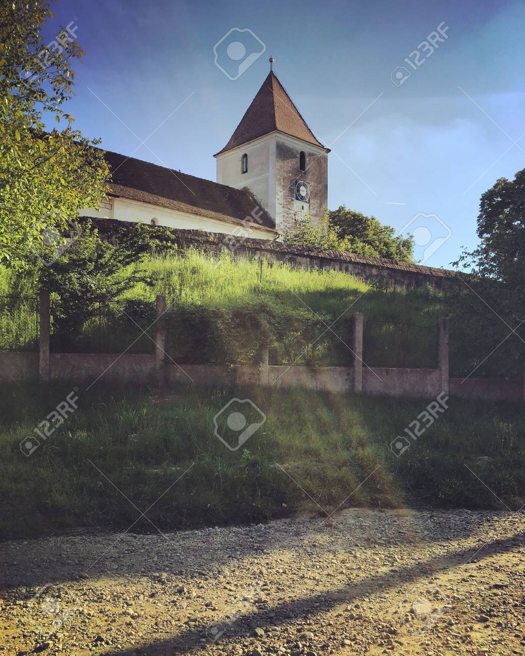 etiam-dictum-ipsum-a-felis