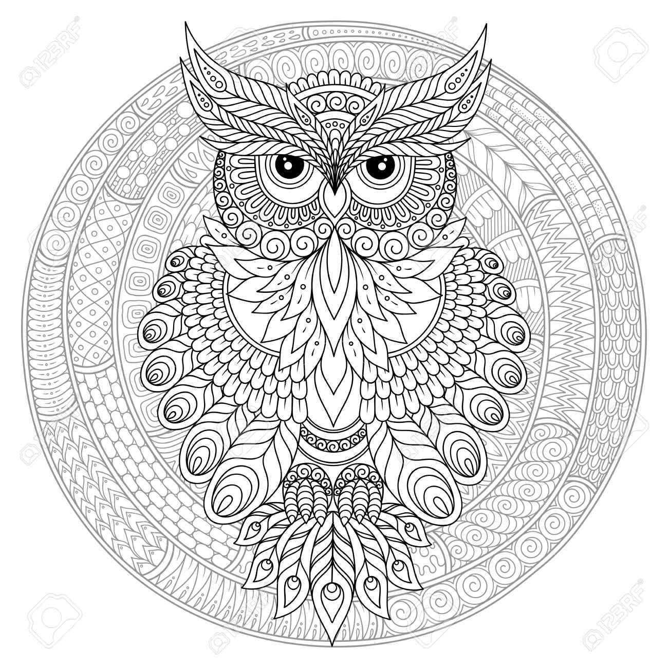 free printable adult coloring pages owl