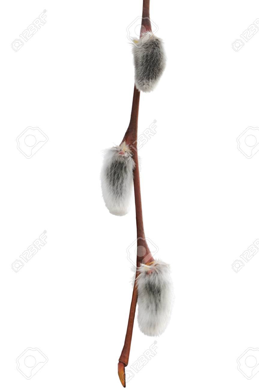 Grote grote pussy com