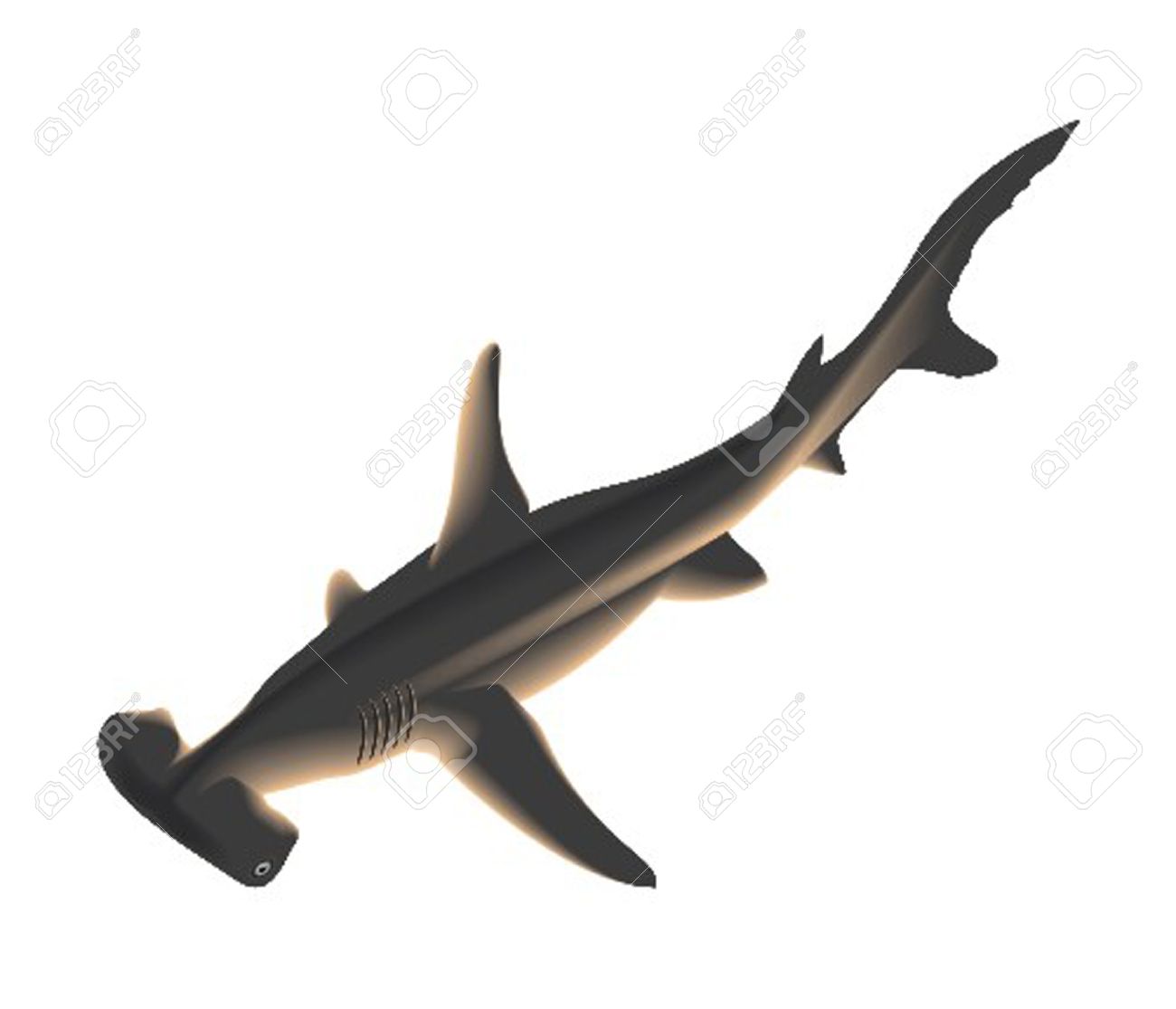 schleich hammerhead shark