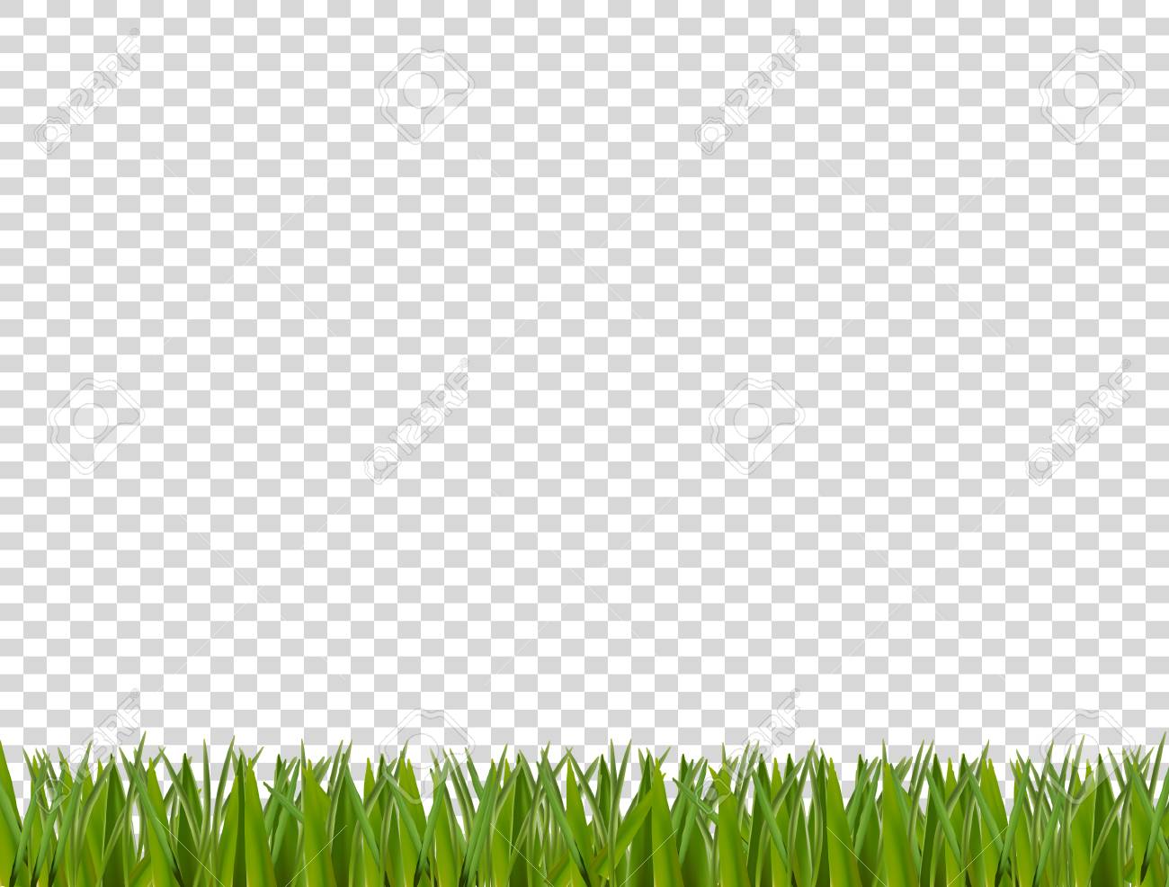 Green Realistic Grass Horizontal Border Isolated On Transparent Royalty Free Cliparts Vectors And Stock Illustration Image