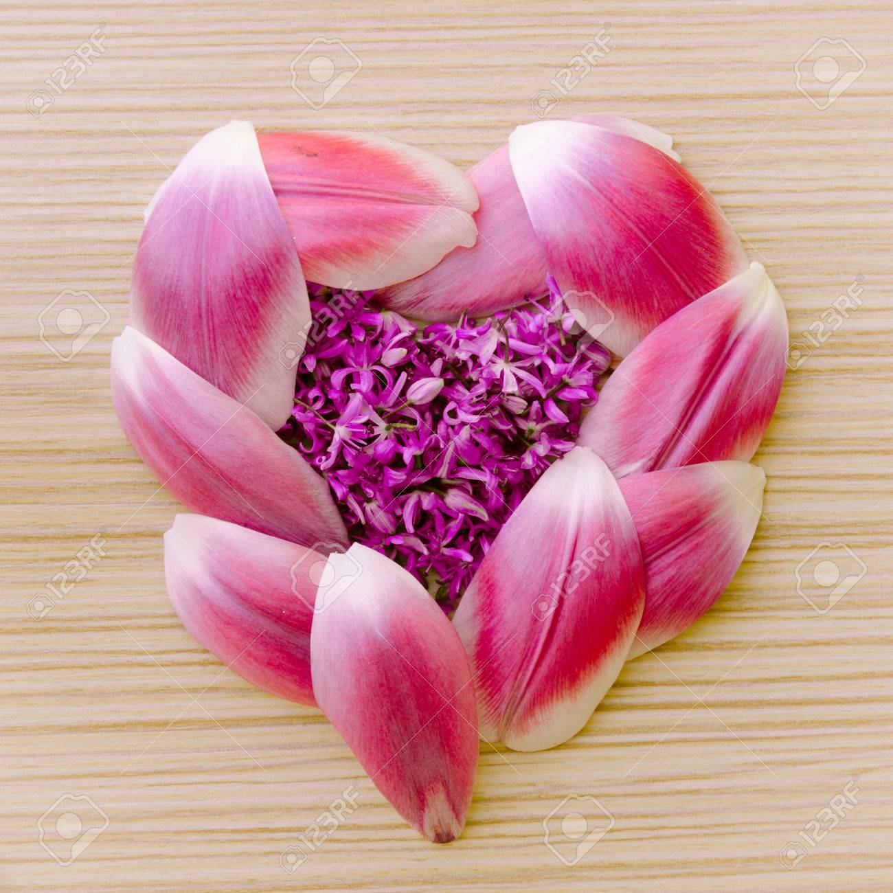 ハート形の花びらの の写真素材 画像素材 Image