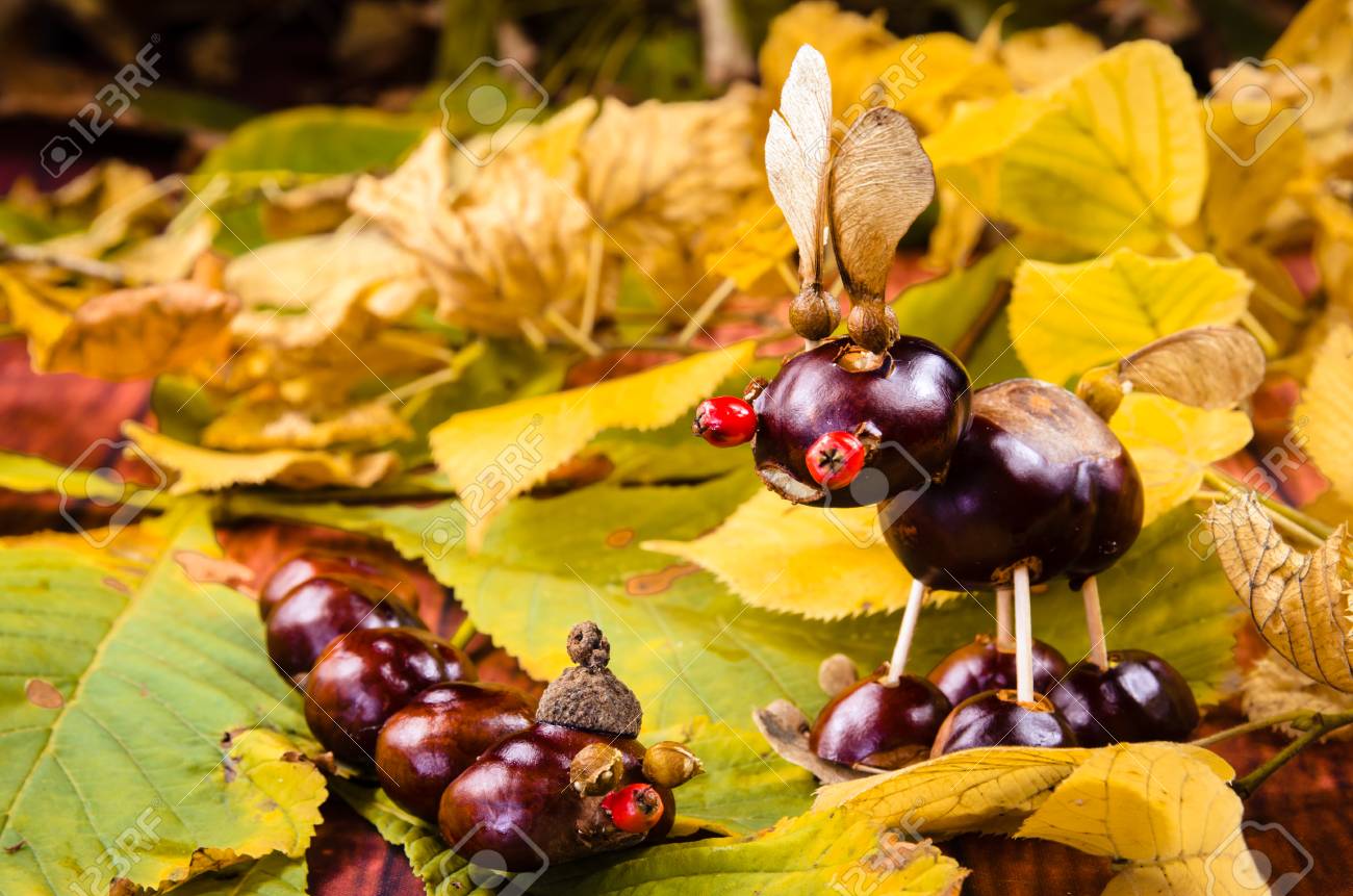 葉の緑の紅葉の中でかわいい茶色栗動物 の写真素材 画像素材 Image 65233594