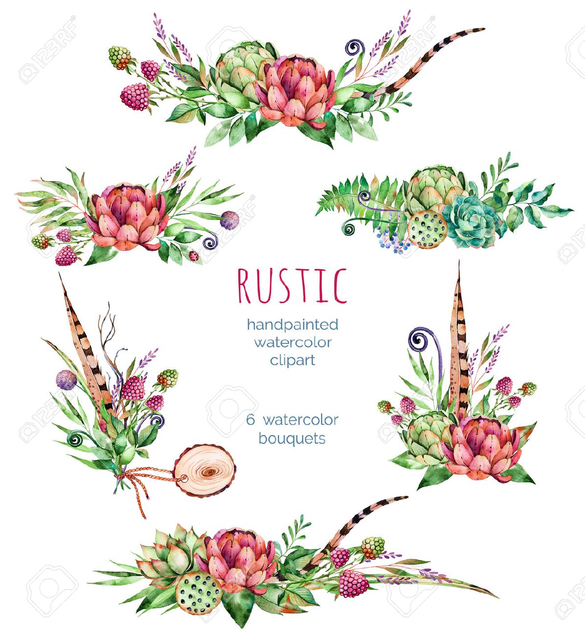 Colorful Floral Collection With Artichoke Flowers Leaves Feathers Succulent Plant Branches Colorful Floral Collection With Artichoke Flowers Leaves Feathers Succulent Plant Branches