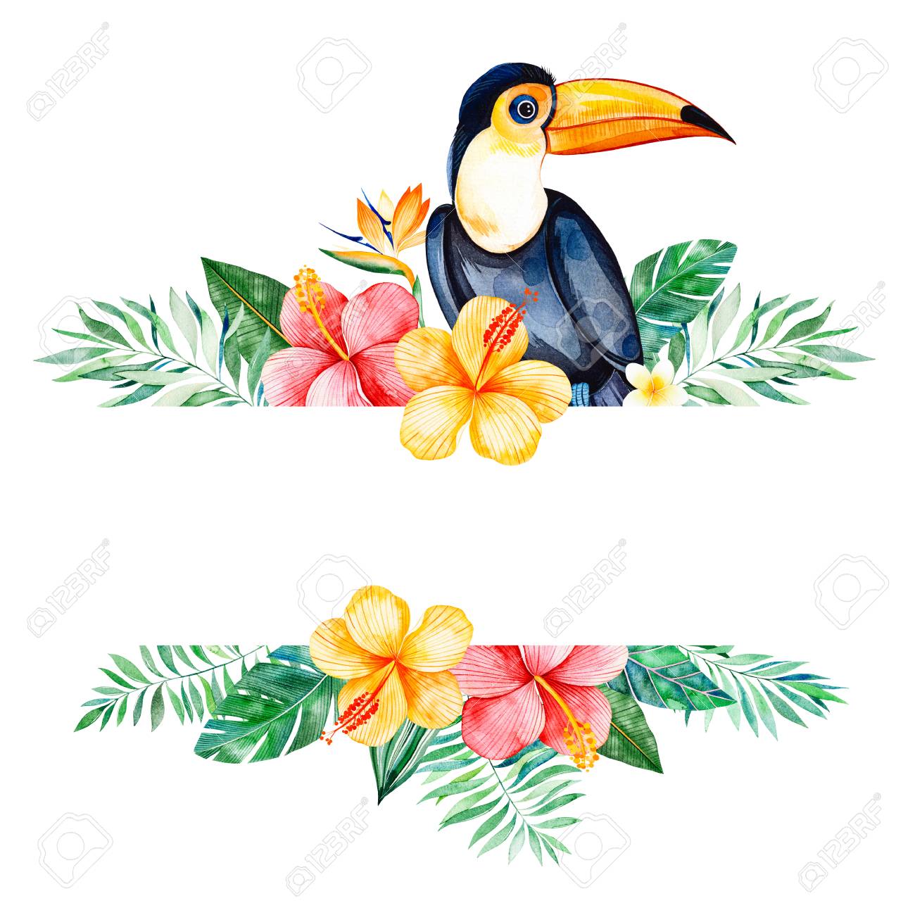 watercolor tropical border border