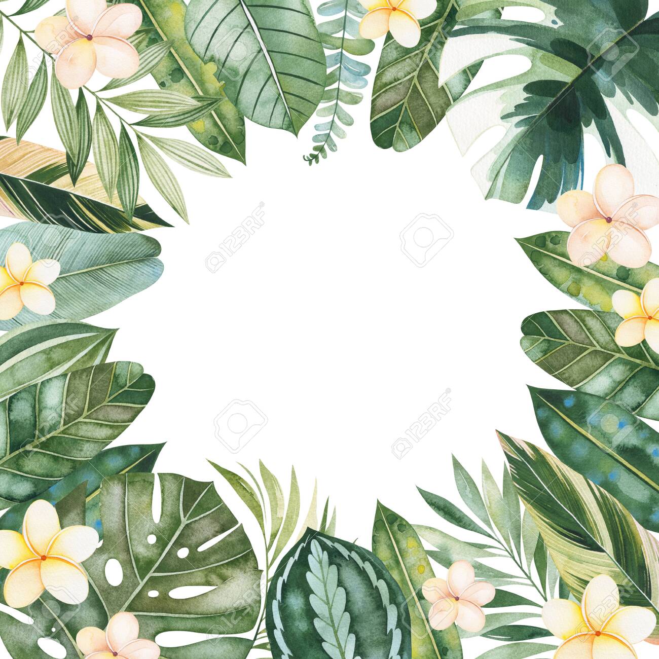 Watercolor Tropical Forest Set Greeting Card With Green Leaves Stock Photo Picture And Royalty Free Image Image Watercolor Tropical Forest Set Greeting Card With Green Leaves Stock Photo Picture And Royalty Free Image Image