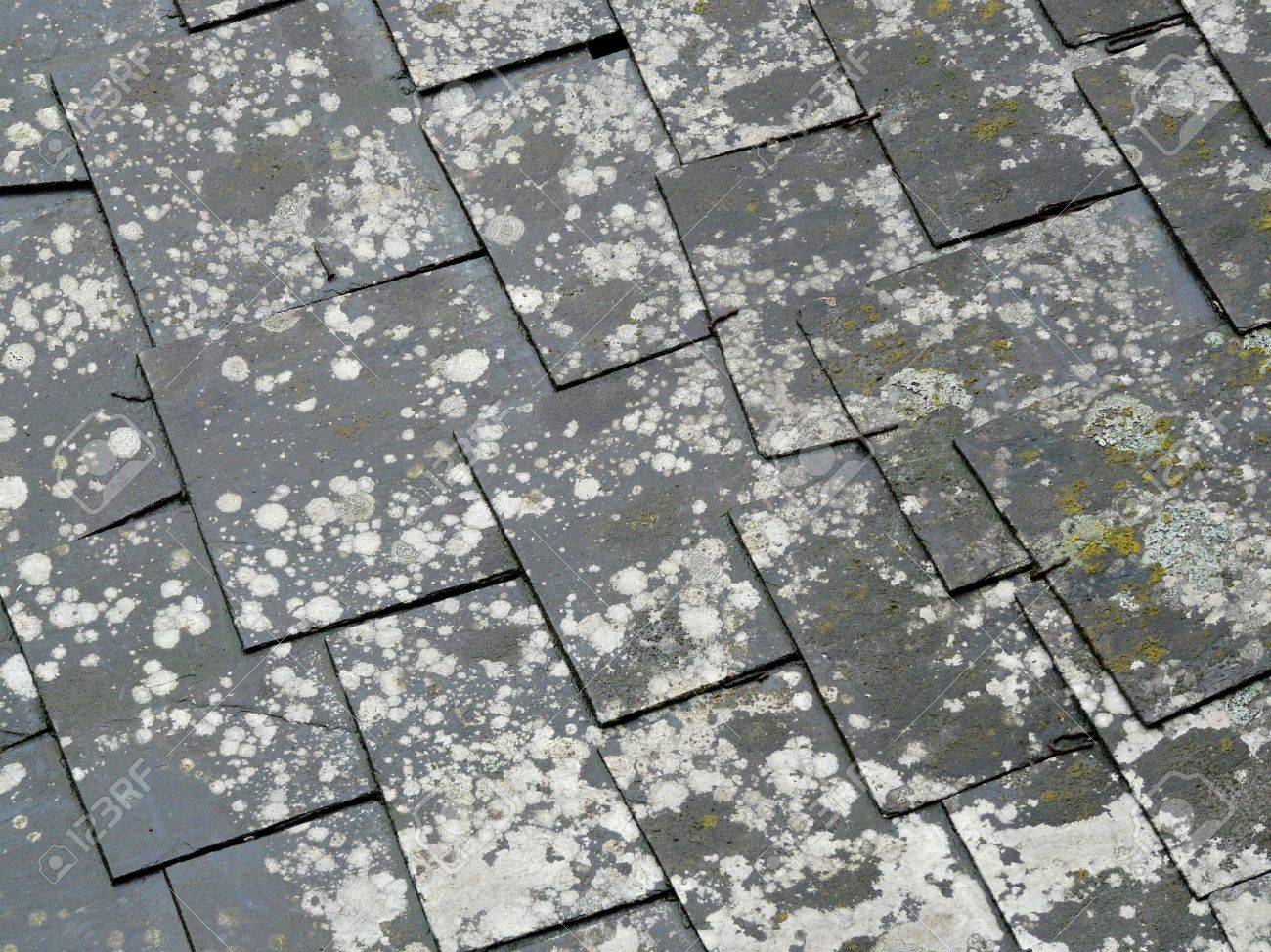 Old Slate Roof Tiles Stock Photo Picture And Royalty Free Image