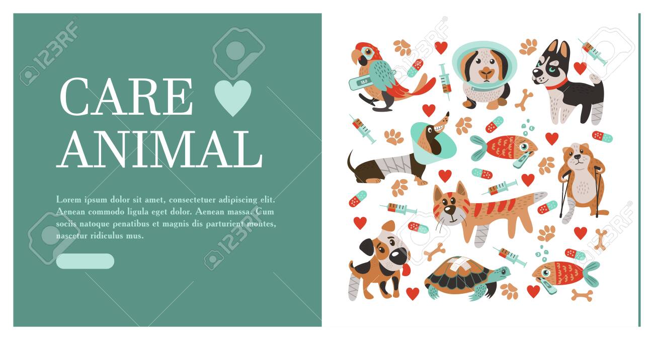 banner veterinary clinic