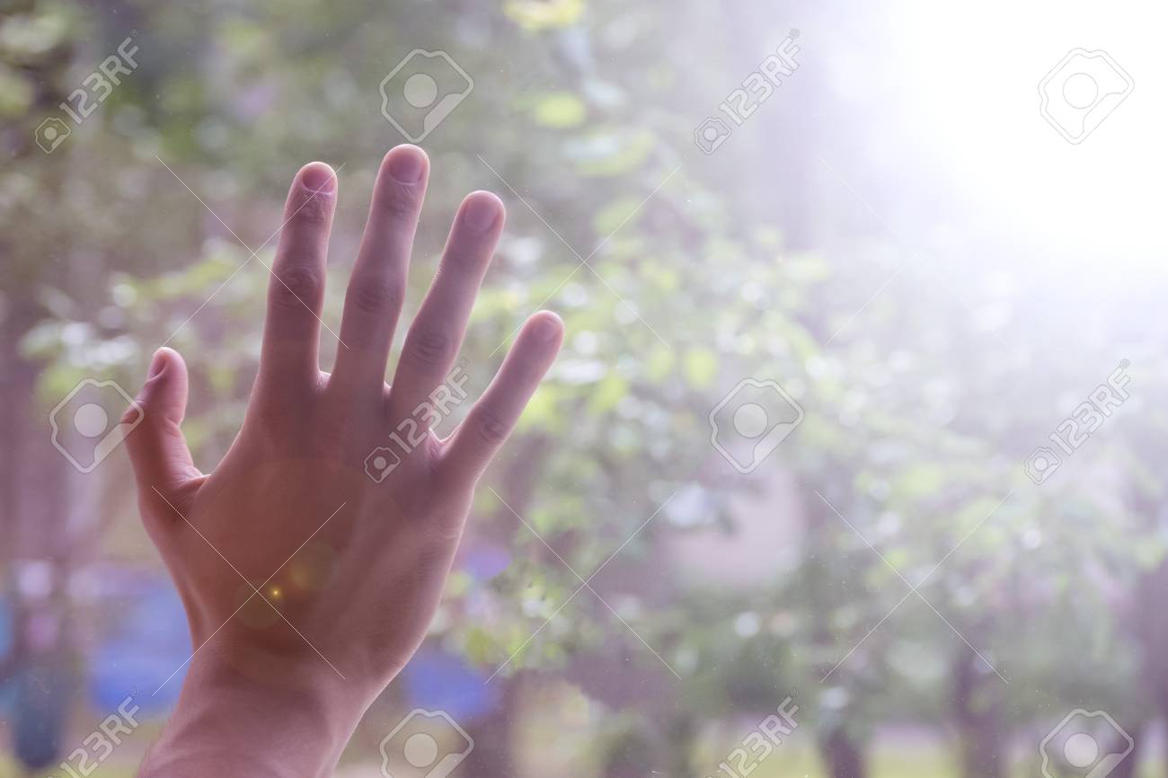 etiam-dictum-ipsum-a-felis