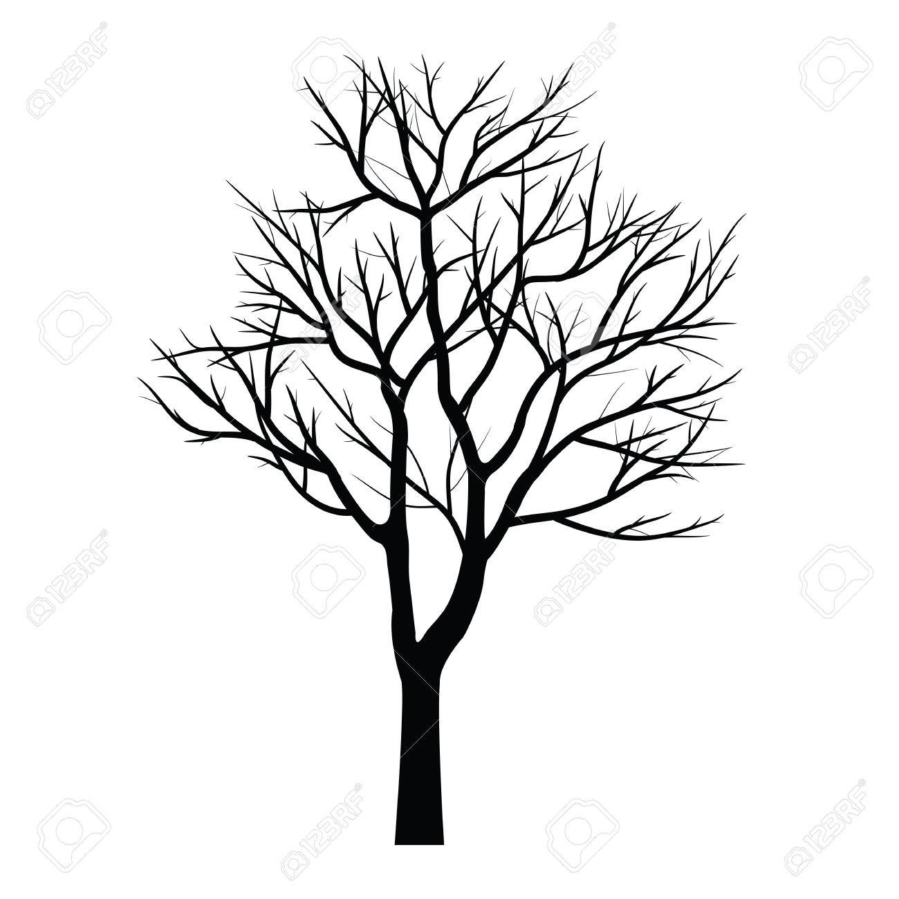 Arbre Dessin Les Arbres Avec Branche Morte Arbre Dessin Les Arbres Avec Branche Morte