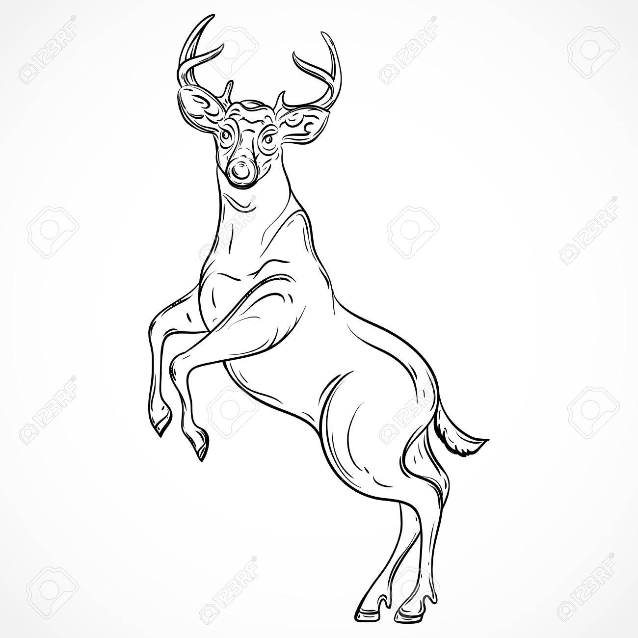 Deer On Hind Legs Deer On Hind Legs