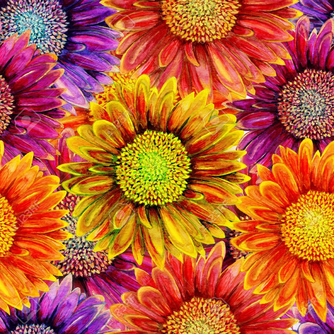 水彩のガーベラの花とのシームレスなパターン 手描きイラスト の写真素材 画像素材 Image 水彩のガーベラの花とのシームレスなパターン 手描きイラスト の写真素材 画像素材 Image