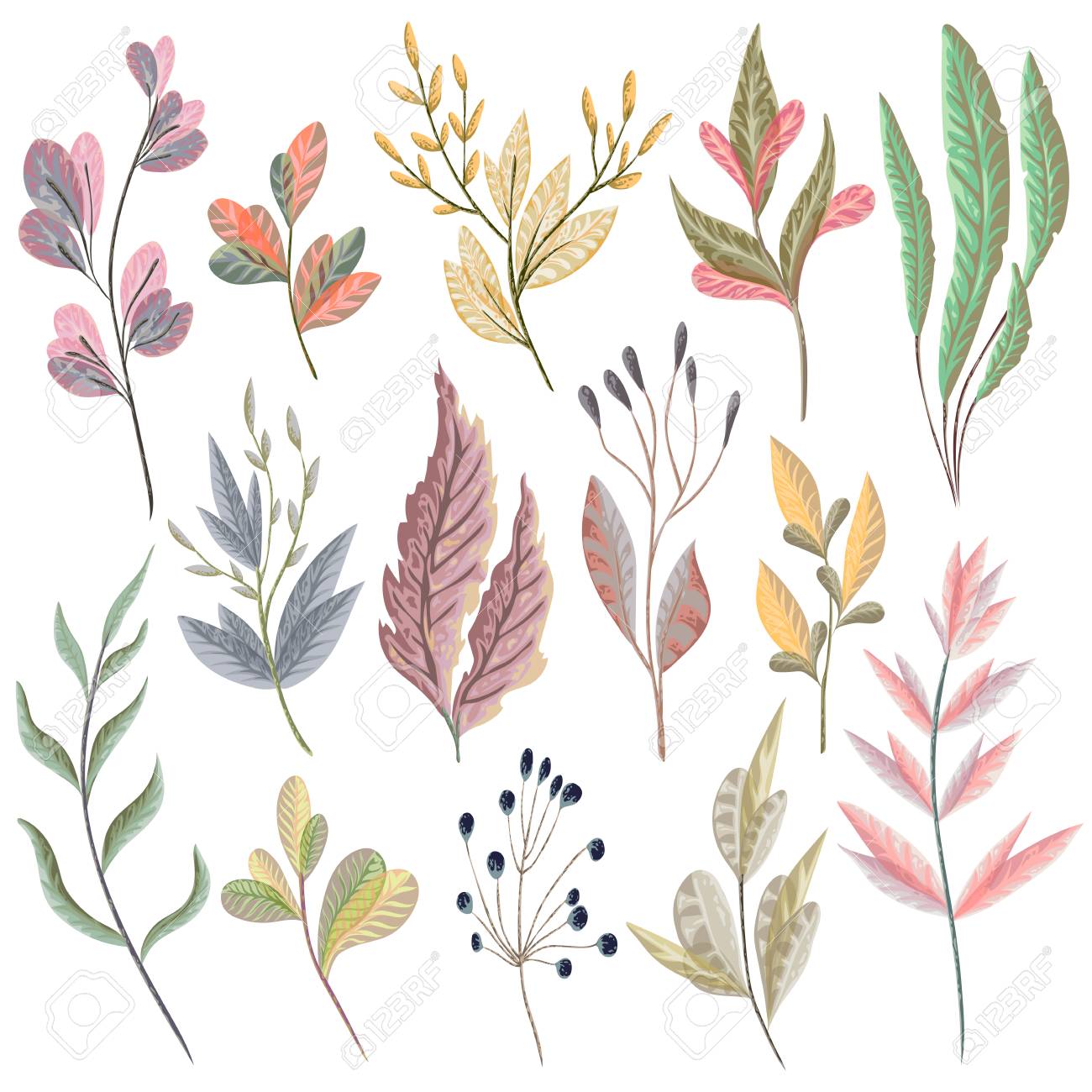 Set With Fantasy Plants And Leaves Decorative Floral Design Royalty Free Cliparts Vectors And Stock Illustration Image