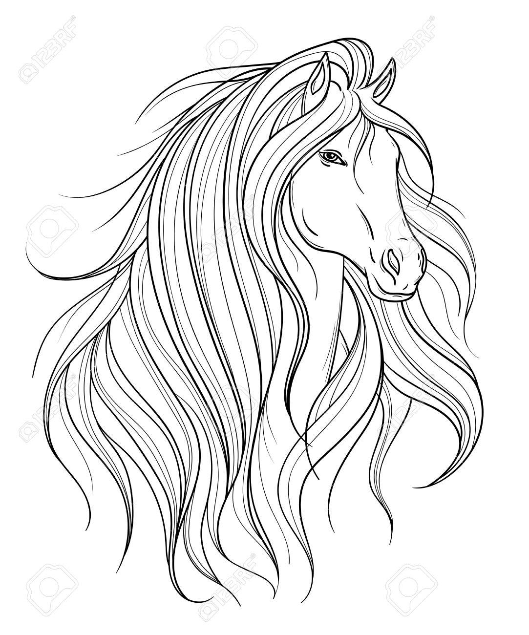 Pferdekopf In Linie Kunststil Tatowierungskunst Getrenntes Element Schwarzweiss Hand Gezeichnete Vektorillustration Lizenzfrei Nutzbare Vektorgrafiken Clip Arts Illustrationen Image