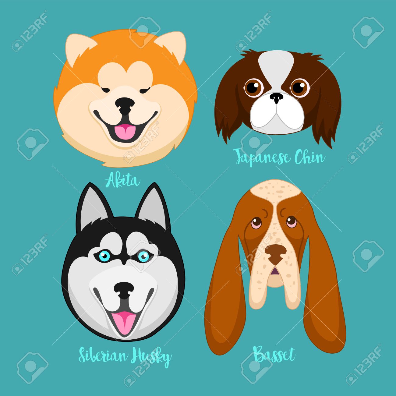 japanese siberian husky