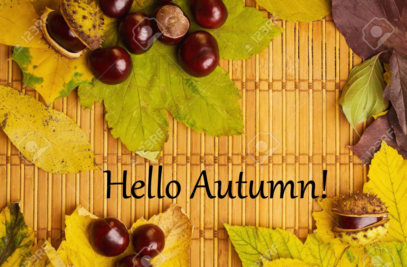 https://previews.123rf.com/images/katerinakorovina/katerinakorovina1510/katerinakorovina151000016/47052812-bonjour-texte-automne-sur-fond-rustique-avec-des-ch%C3%A2taignes-et-des-feuilles-d-%C3%A9rable.jpg