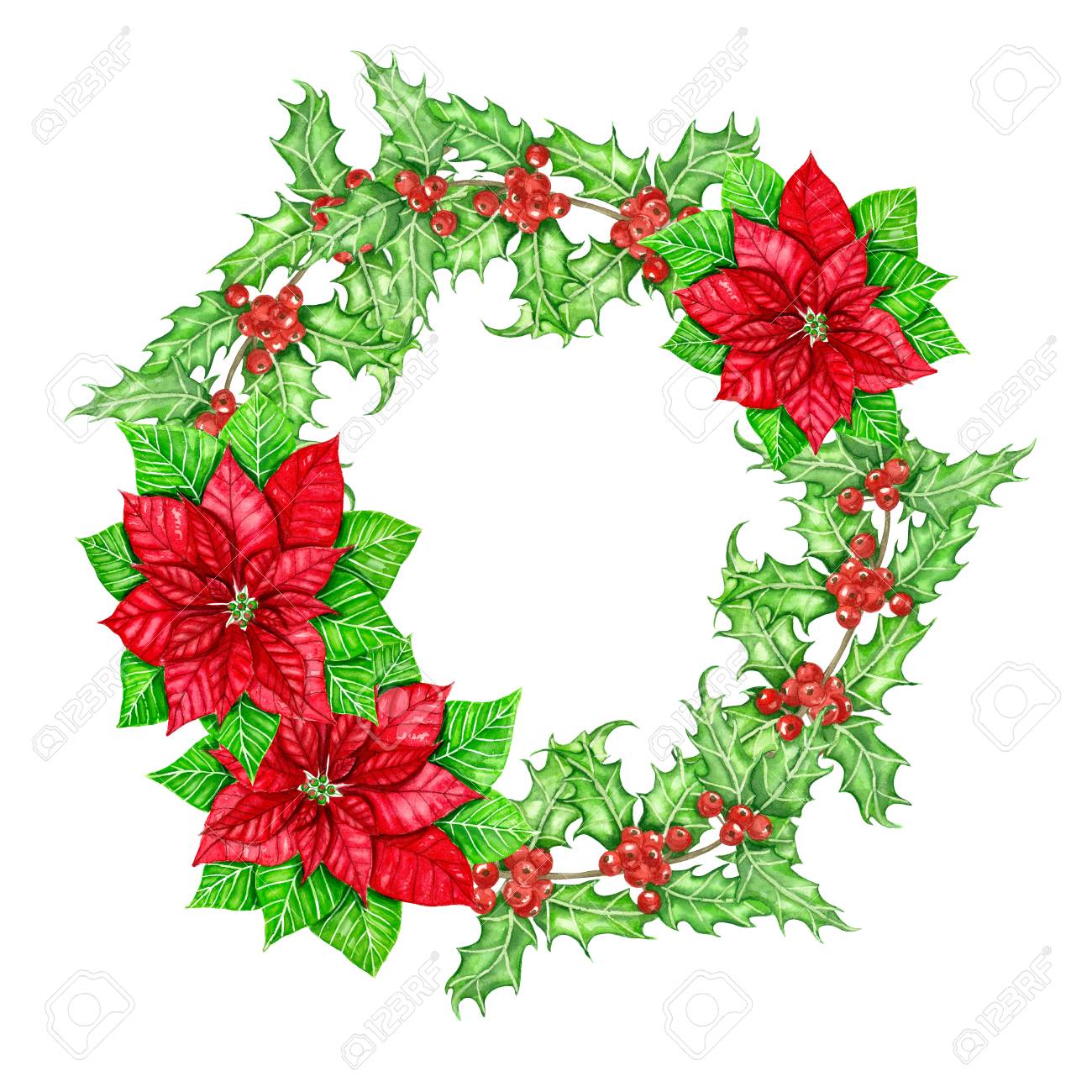 ポインセチアやヒイラギの果実の枝の作ったクリスマス リースを水彩で描いた の写真素材 画像素材 Image