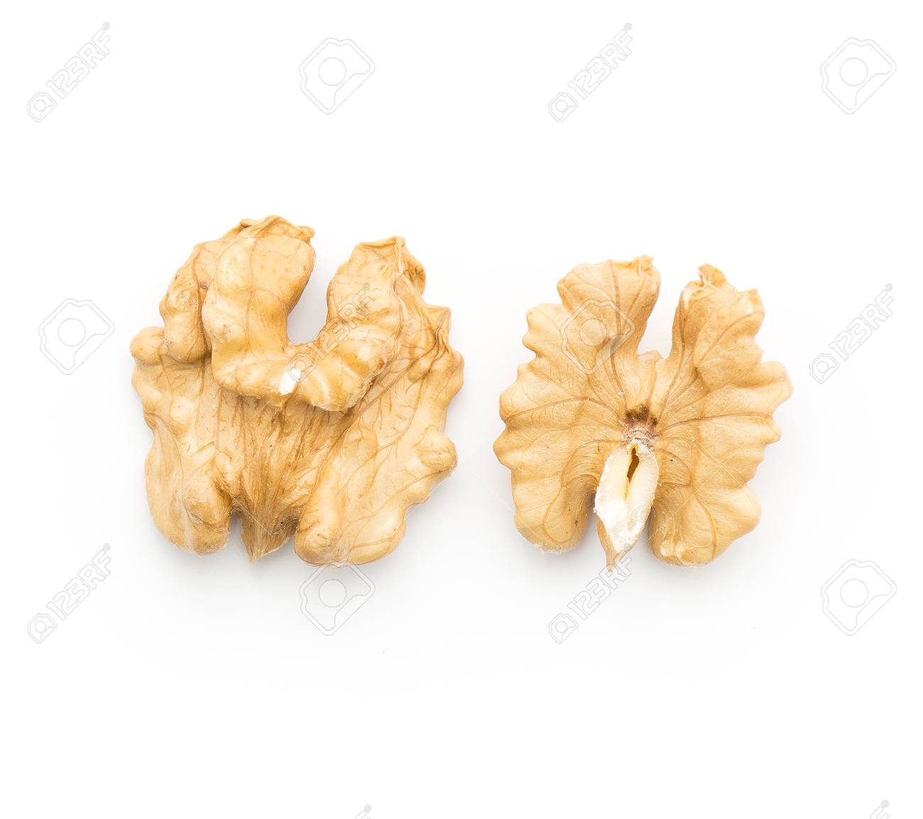 白い背景に隔離された2つの殻付きクルミのトップビュー の写真素材 画像素材 Image