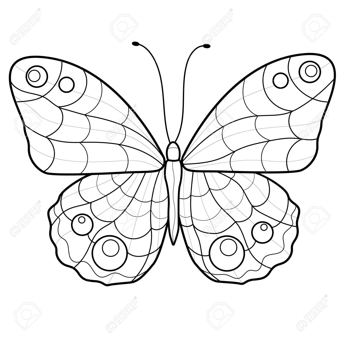 Beautiful butterfly. Coloring book antistress for children and adults. Illustration isolated on white background. Zen tangle style. Black and white drawing. - 153815578 Beautiful butterfly. Coloring book antistress for children and adults. Illustration isolated on white background. Zen tangle style. Black and white drawing. - 153815578