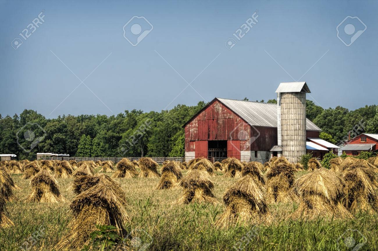 Hand Cut Wheat Stacks And Old Red Barn Landscape Stock Photo Picture And Royalty Free Image Image 39640025