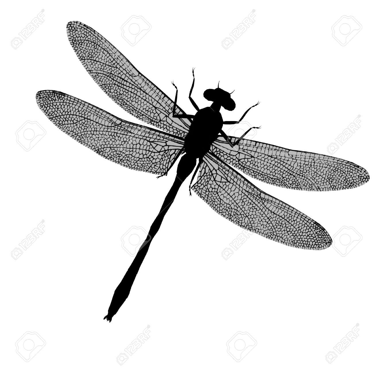a black silhouette of a dragonfly with wings spread stock photo