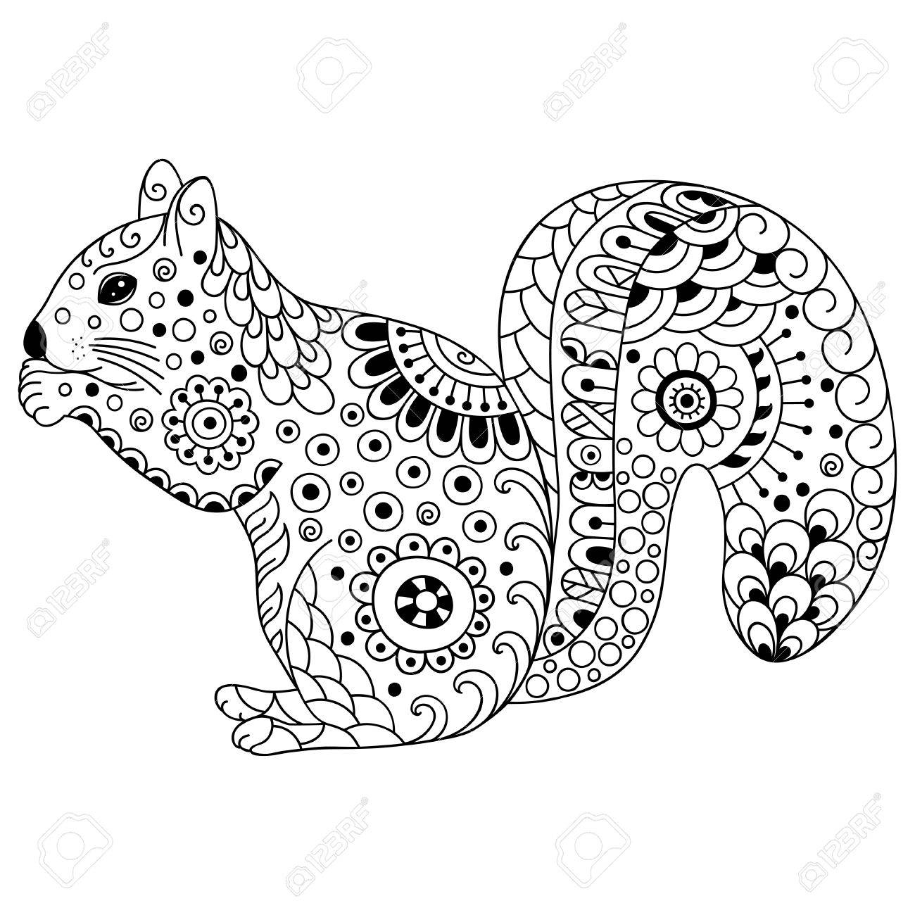doodle ecureuil stylise croquis pour cahier de coloriage affiche impression ou tatouage animal illustration vectorielle dessines a la main antistress adulte clip art libres droits vecteurs et sorcier d'oz youtube