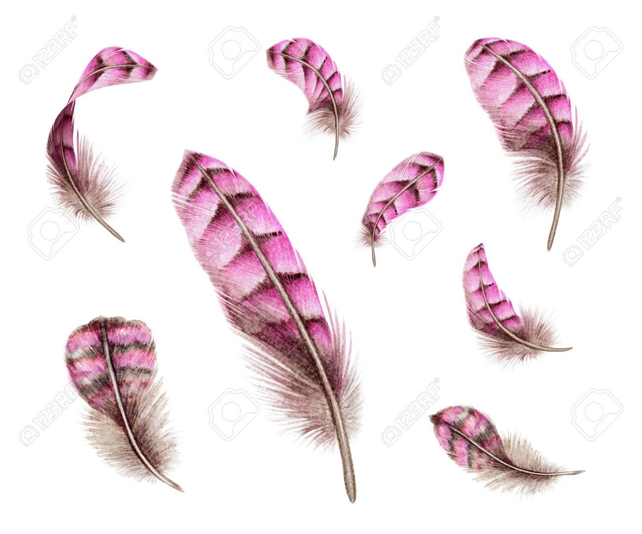 photo Pink Dream Catcher Watercolor 123rf