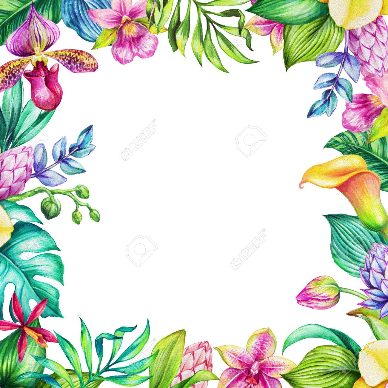 watercolor illustration tropical flowers