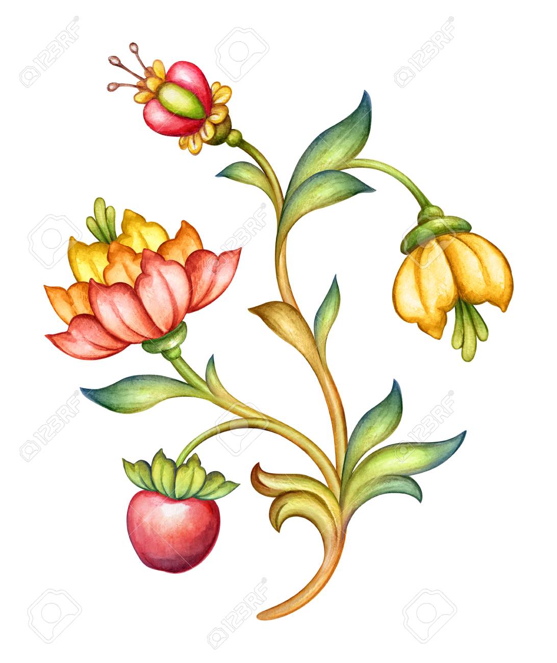 水彩イラスト 赤いチューリップの花 緑の葉 リンゴ果実 アンティークなデザイン要素 中世の花飾り ビンテージ パターン 白い背景で隔離のクリップアート の写真素材 画像素材 Image 0122 水彩イラスト 赤いチューリップの花 緑の葉 リンゴ果実 アンティークなデザイン要素 中世の花飾り ビンテージ パターン 白い背景で隔離のクリップアート の写真素材 画像素材 Image 0122