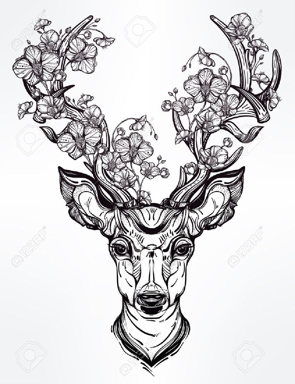 Cerf Dessin Banque D Vecteurs Et Illustrations Libres De cerf dessin Tiré par la main romantique beau dessin d une tªte de cerf