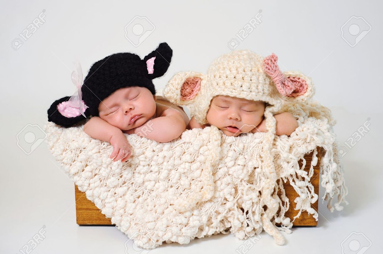 Sleeping fraternal twin newborn baby girls wearing crocheted black lamb and white lamb hats stock photo