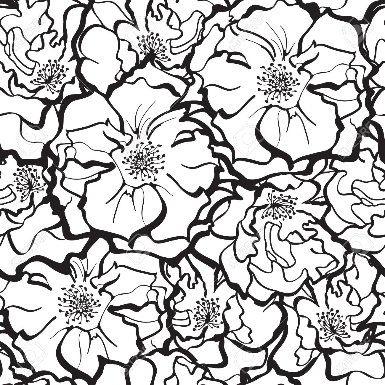 Elegante Ornamento Di Rose Fiori In Bianco E Nero Sfondo Modello Senza Soluzione Di Continuità Struttura Floreale Vettoriale