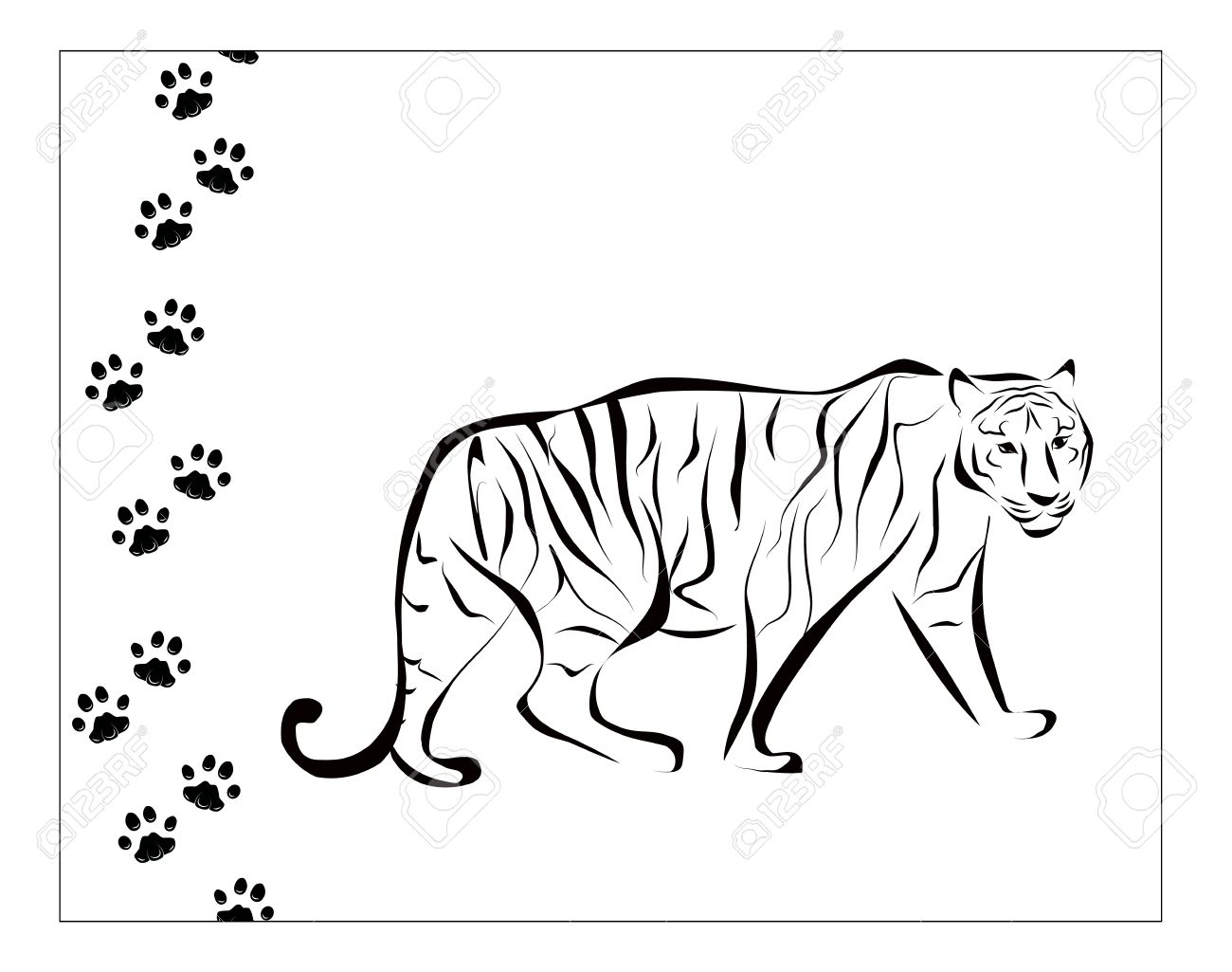 Black And White Tiger Illustration With Footsteps Royalty Free SVG,  Cliparts, Vectors, and Stock Illustration. Image 16662279., image size:1300x1025