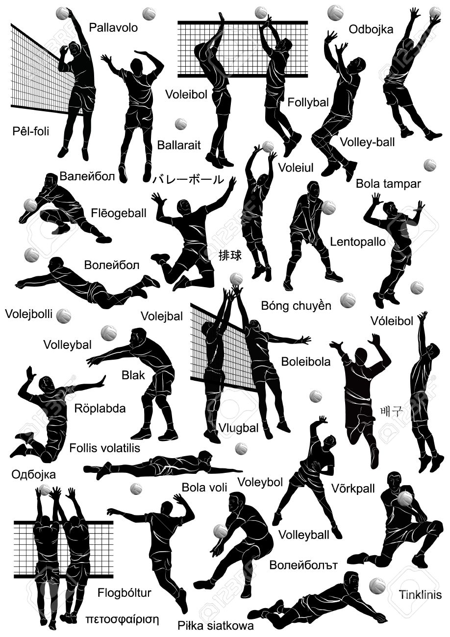 nombre de los jugadores de voleibol