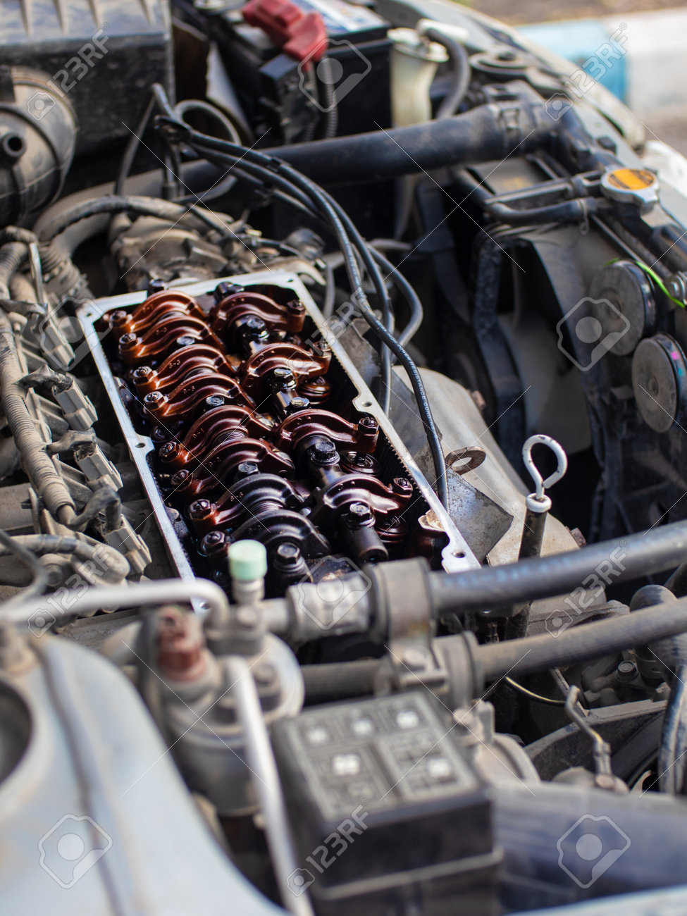 etiam-dictum-ipsum-a-felis