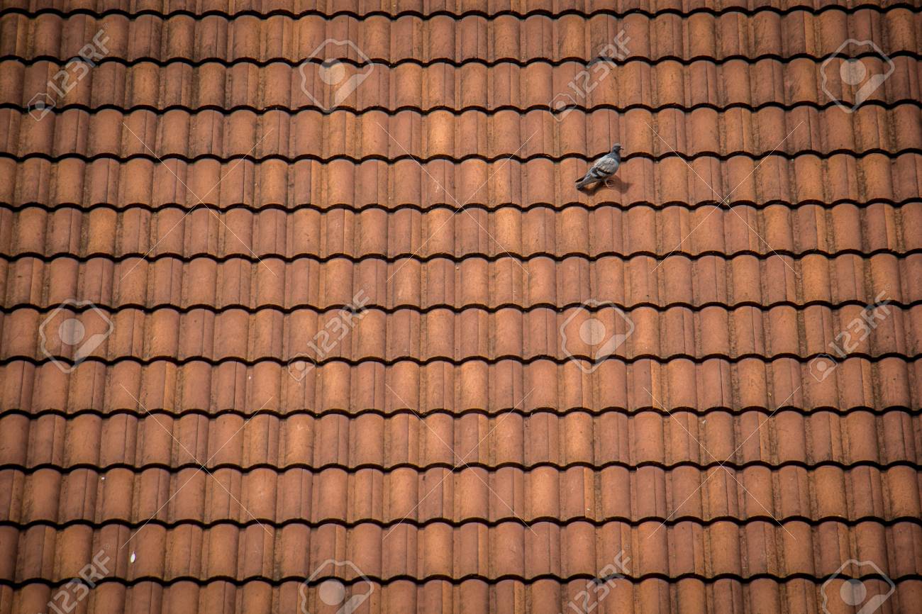 ceramic tile texture pattern athletic orange roof sturdy
