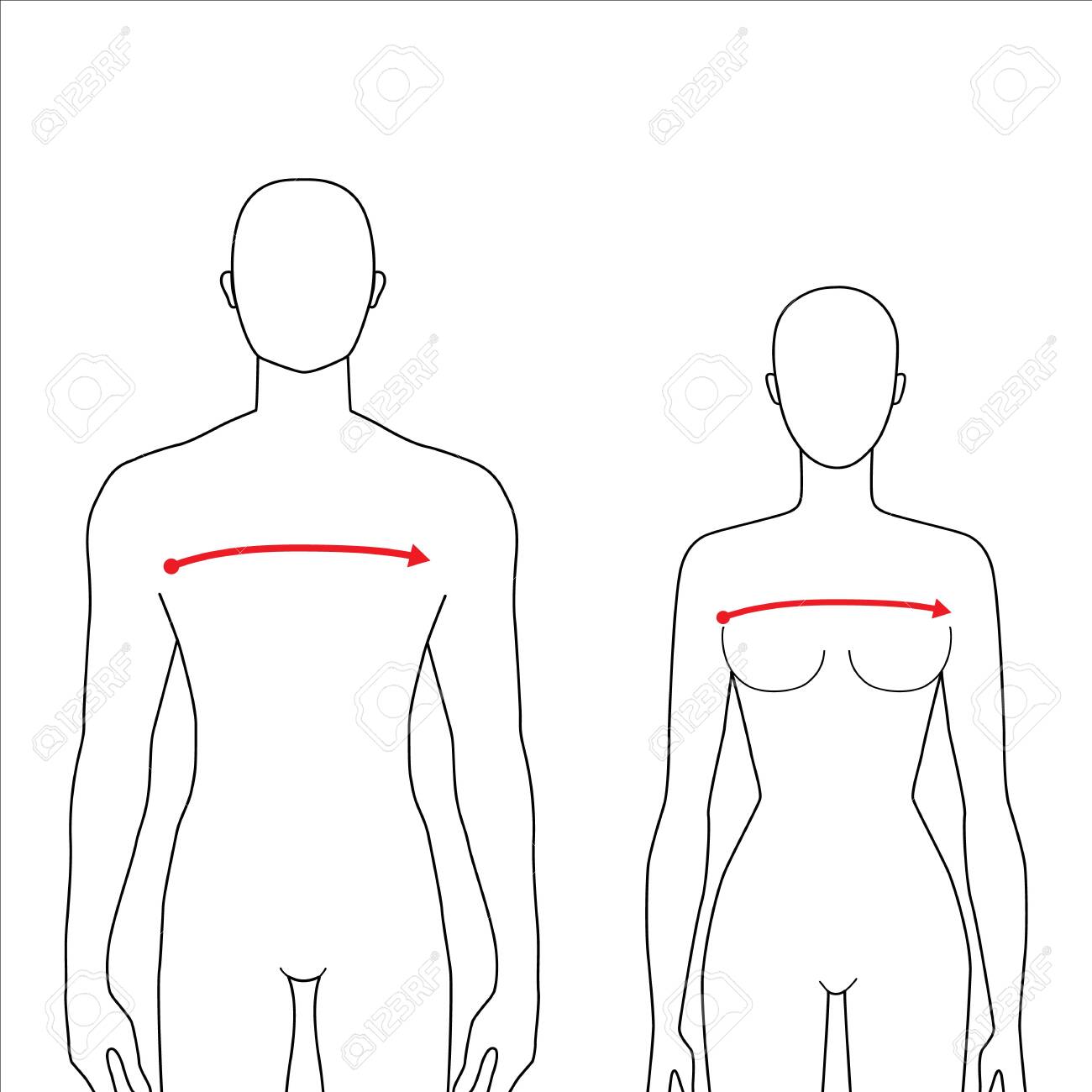 7.5 female to male