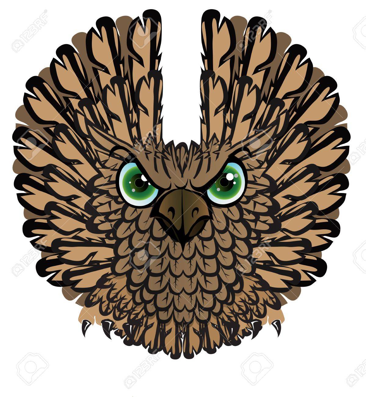 夜行性の猛禽類 フクロウの図 のイラスト素材 ベクタ Image