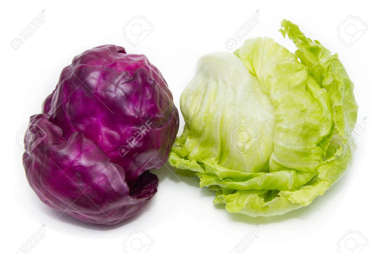 紫キャベツ アイスバーグ レタス の写真素材 画像素材 Image