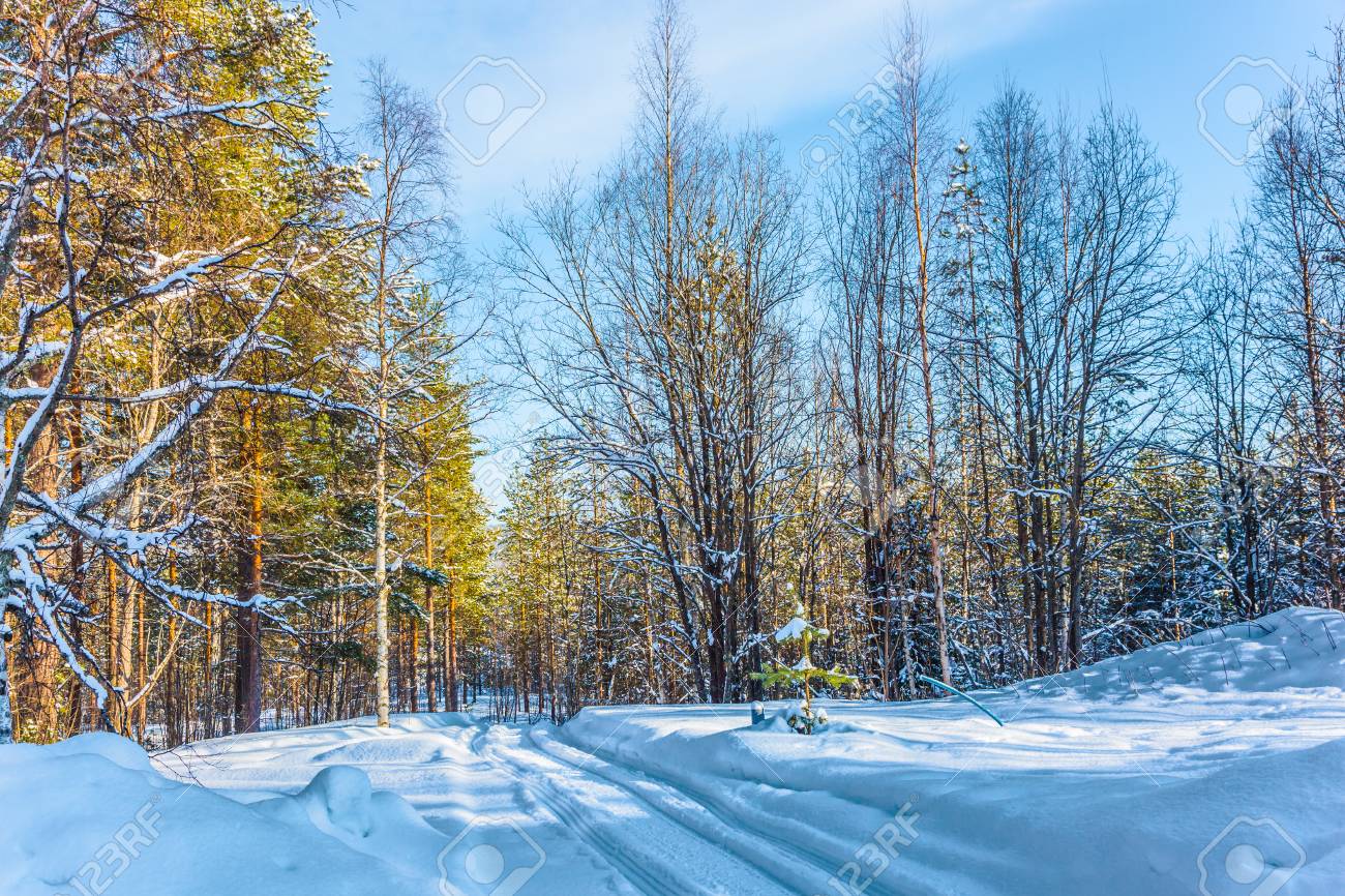 road covered with snow christmas in lapland new year forest christmas in the forest